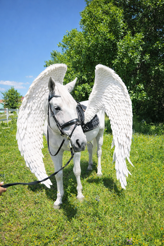 White horse with angel wings standing in a grassy field with trees in the background.