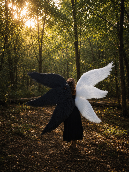 Six-Wing Seraphim Wings – Light & Shadow Edition
