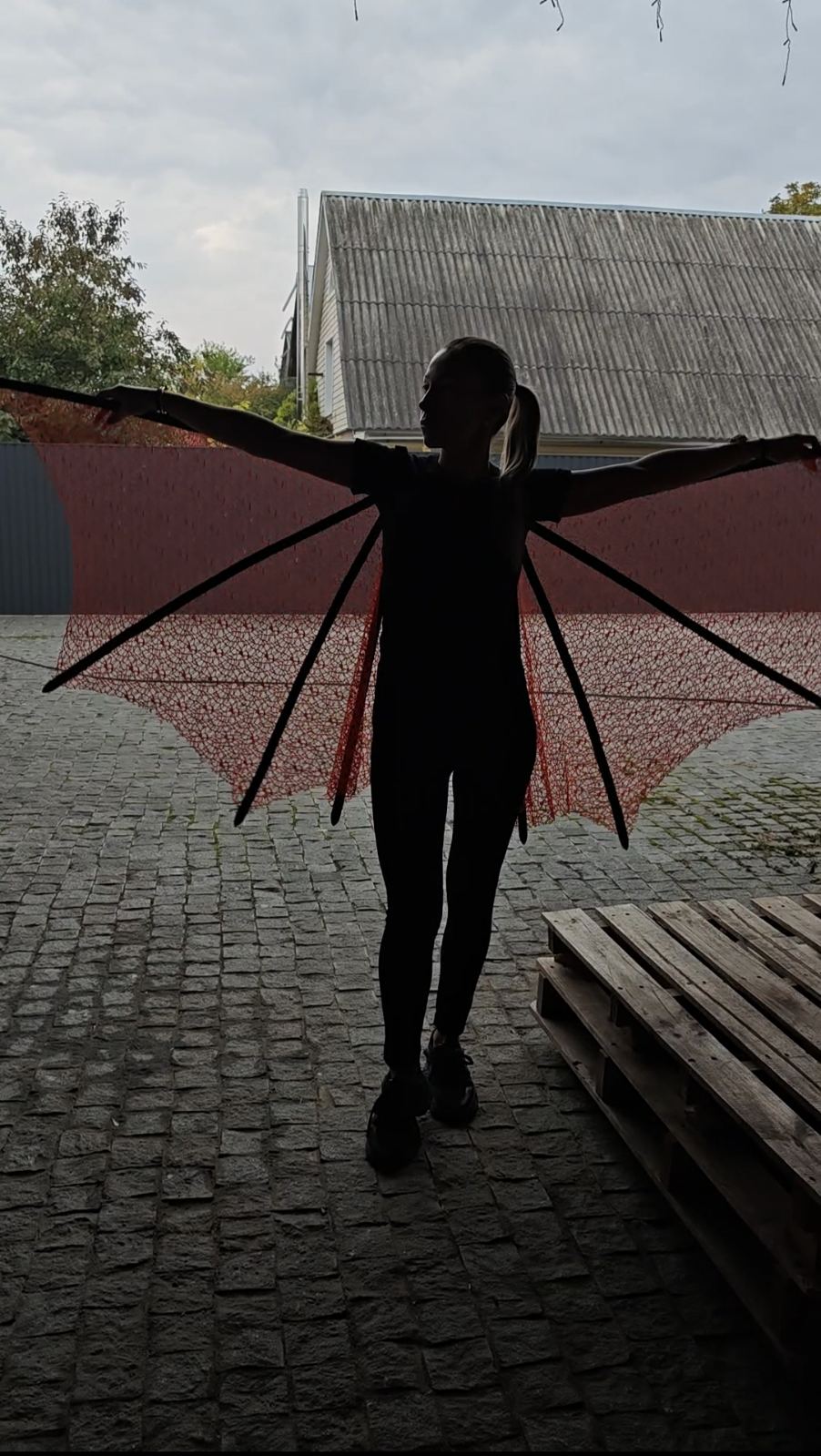 Bat Cape Wings Gothic Demon Cosplay Angel Halloween Costume