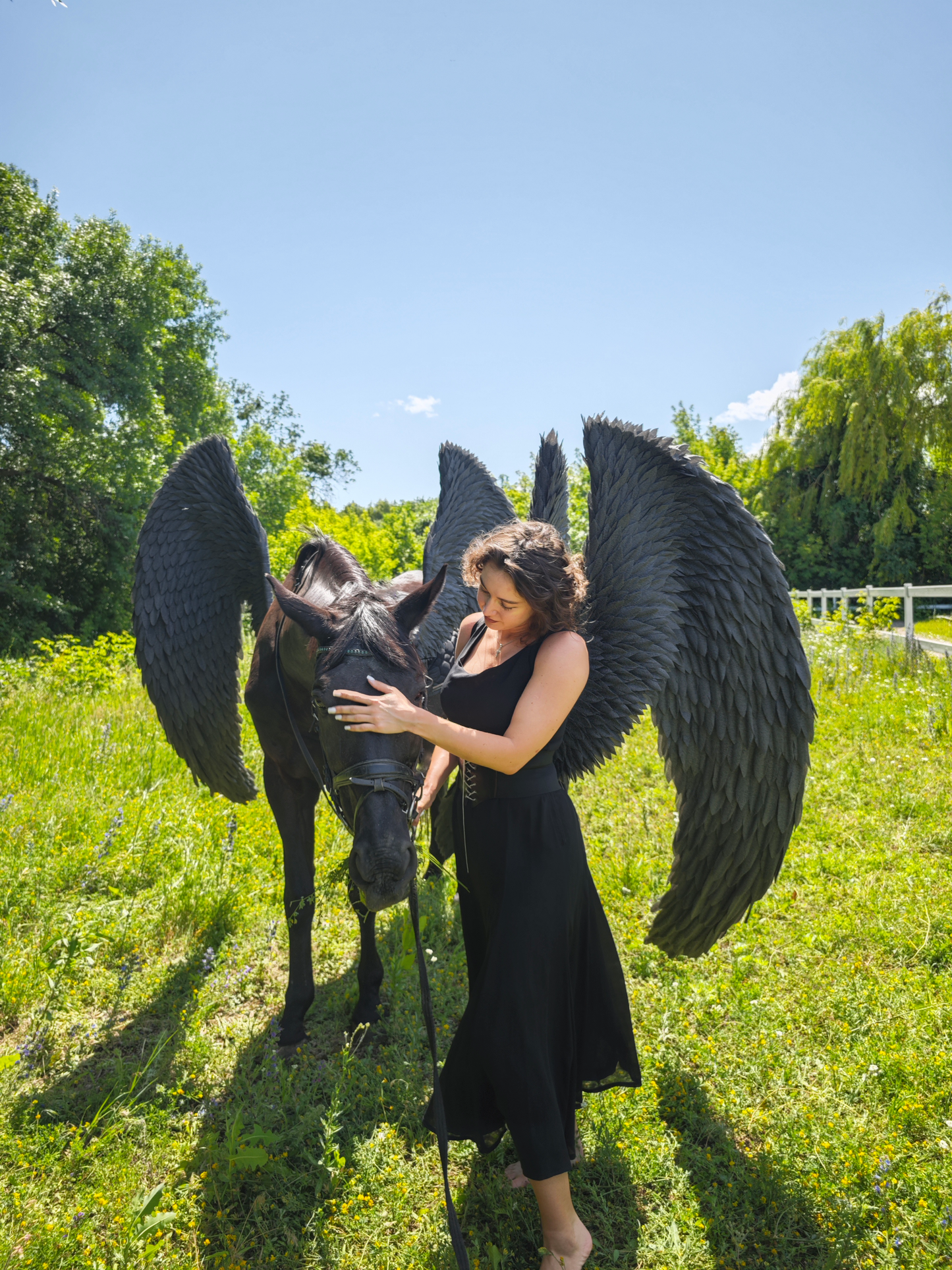 Person with large black angel wings standing next to a horse with black Pegasus wings in a grassy field.