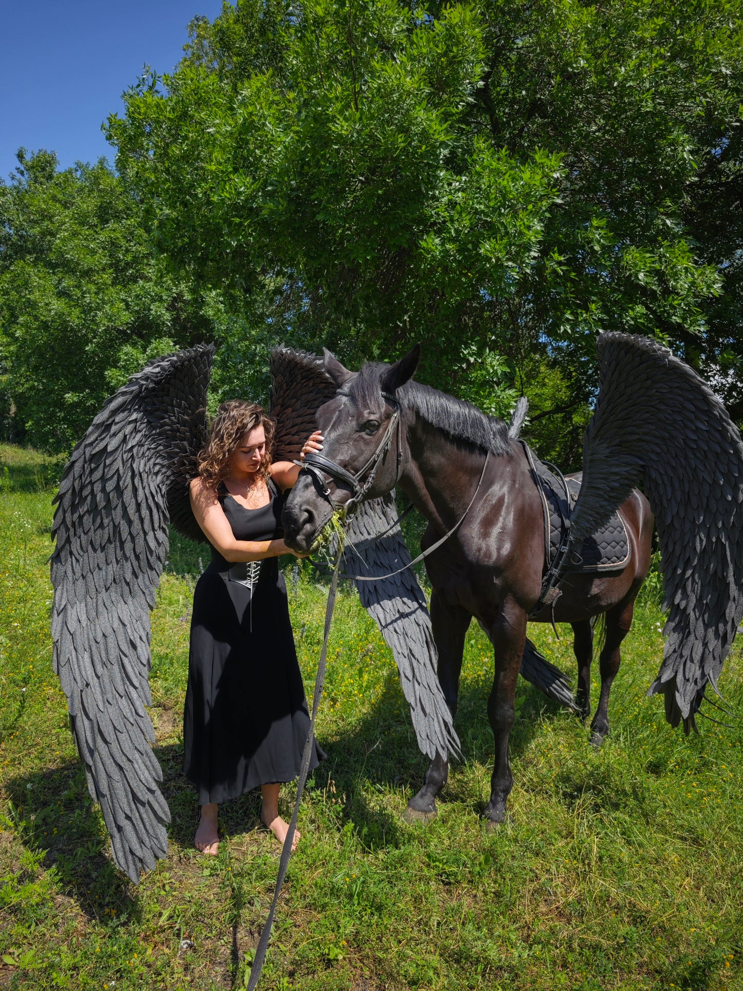 Person with large black wings standing next to a horse with similar wings in a grassy field.