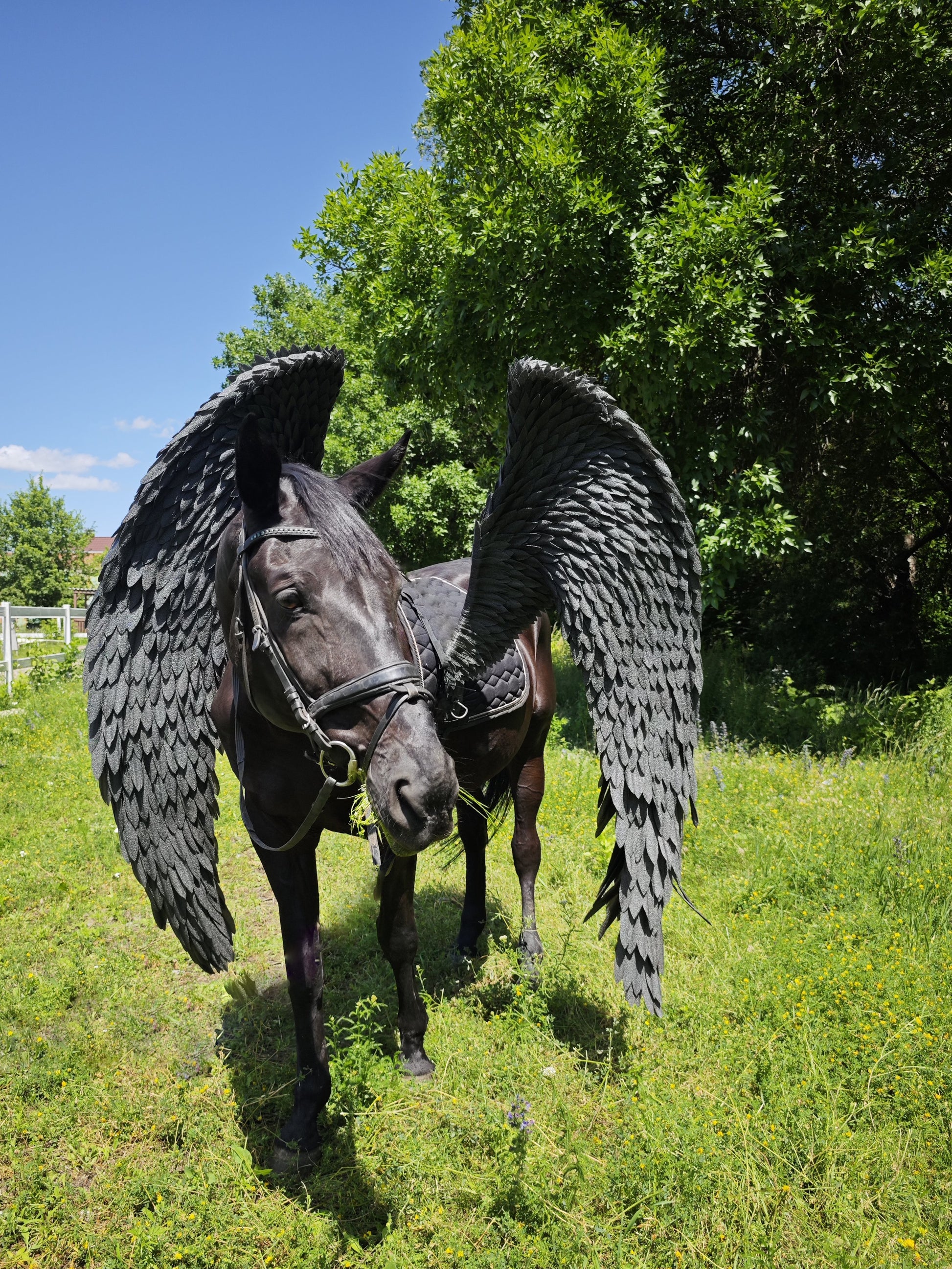 Horse with large wings in a grassy field with trees in the background