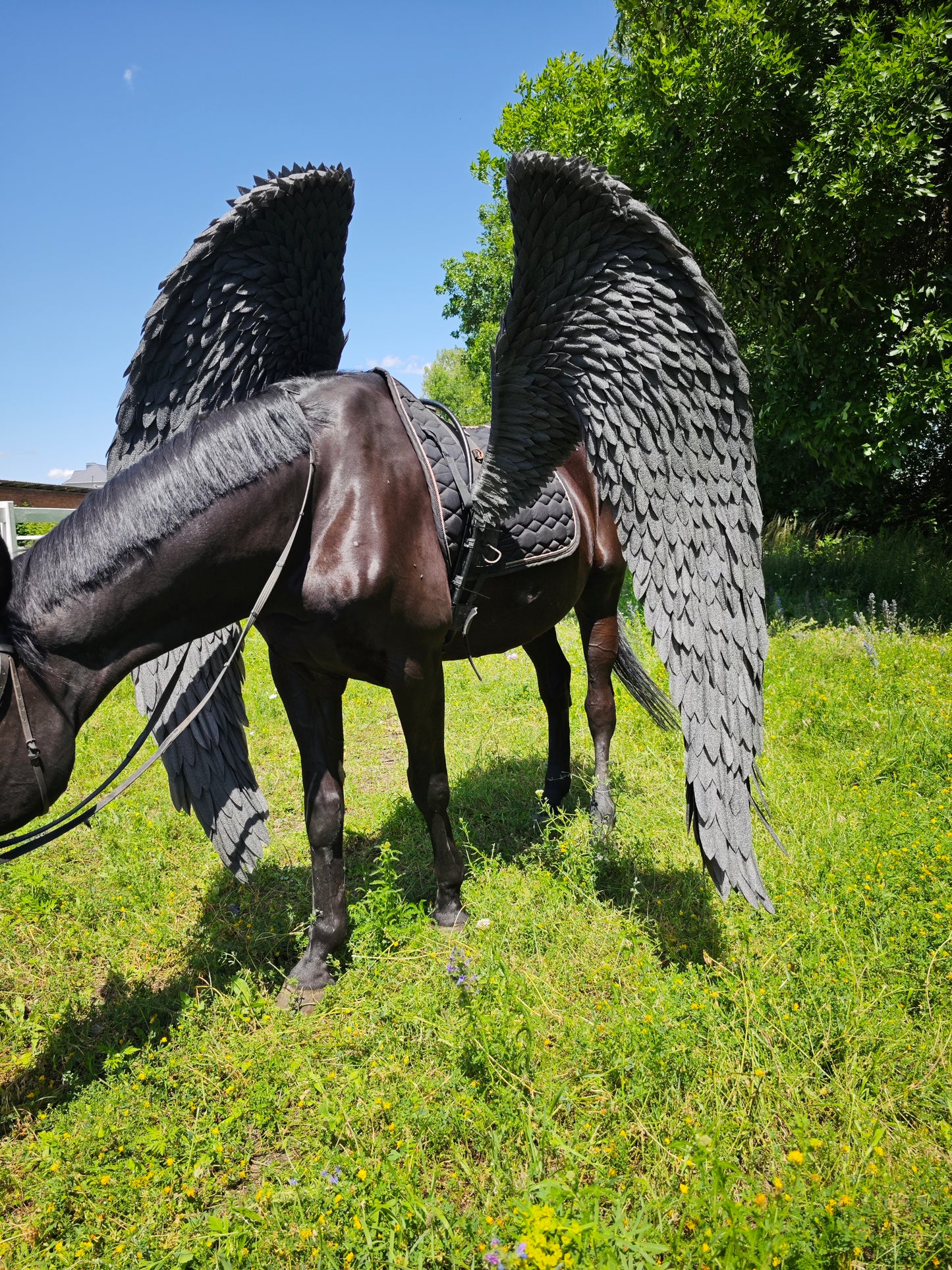 Horse with large black wings standing in a grassy field with trees in the background