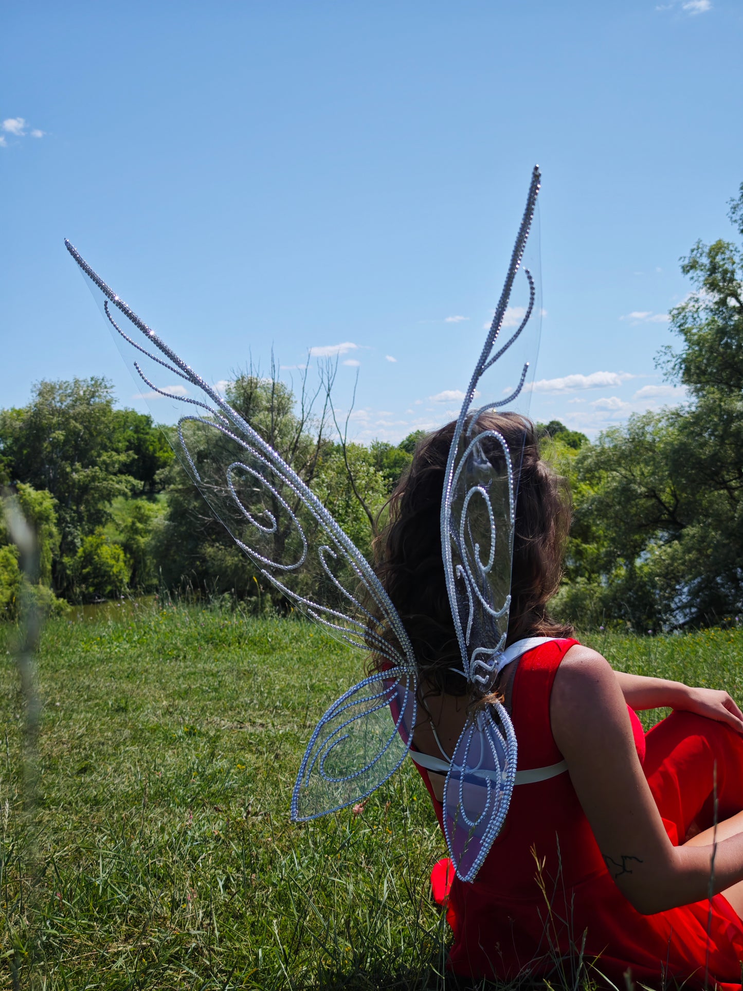Person wearing fairy wings sitting in a grassy field with trees in the background