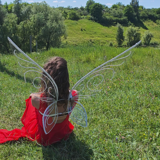 Fairy wings fantasy costume