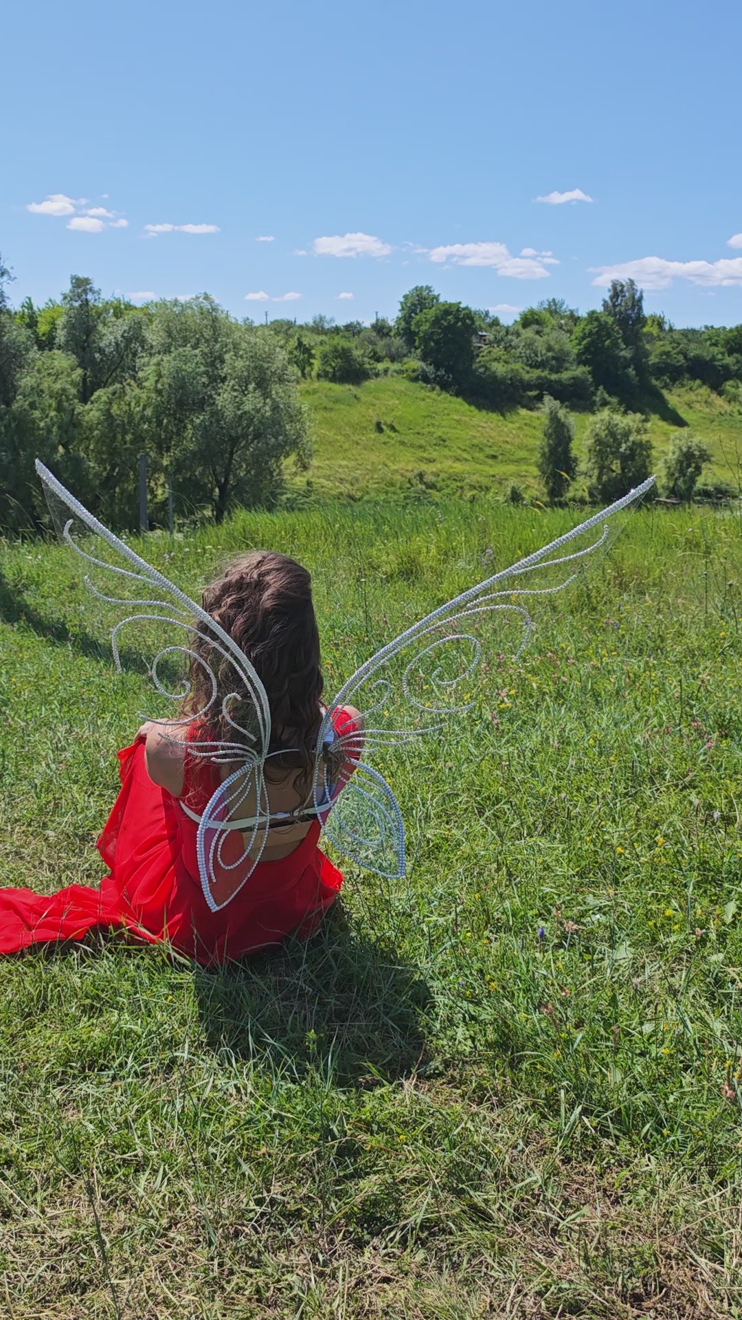 Fairy wings fantasy costume